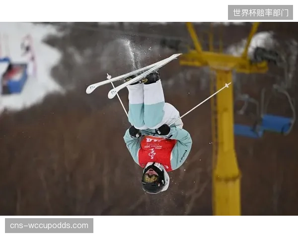 冬奥会新增雪上技巧等项目，对雪场条件要求极为苛刻，100%依赖人造雪的比赛模式，其背后的水资源消耗和生态代价由谁承担？